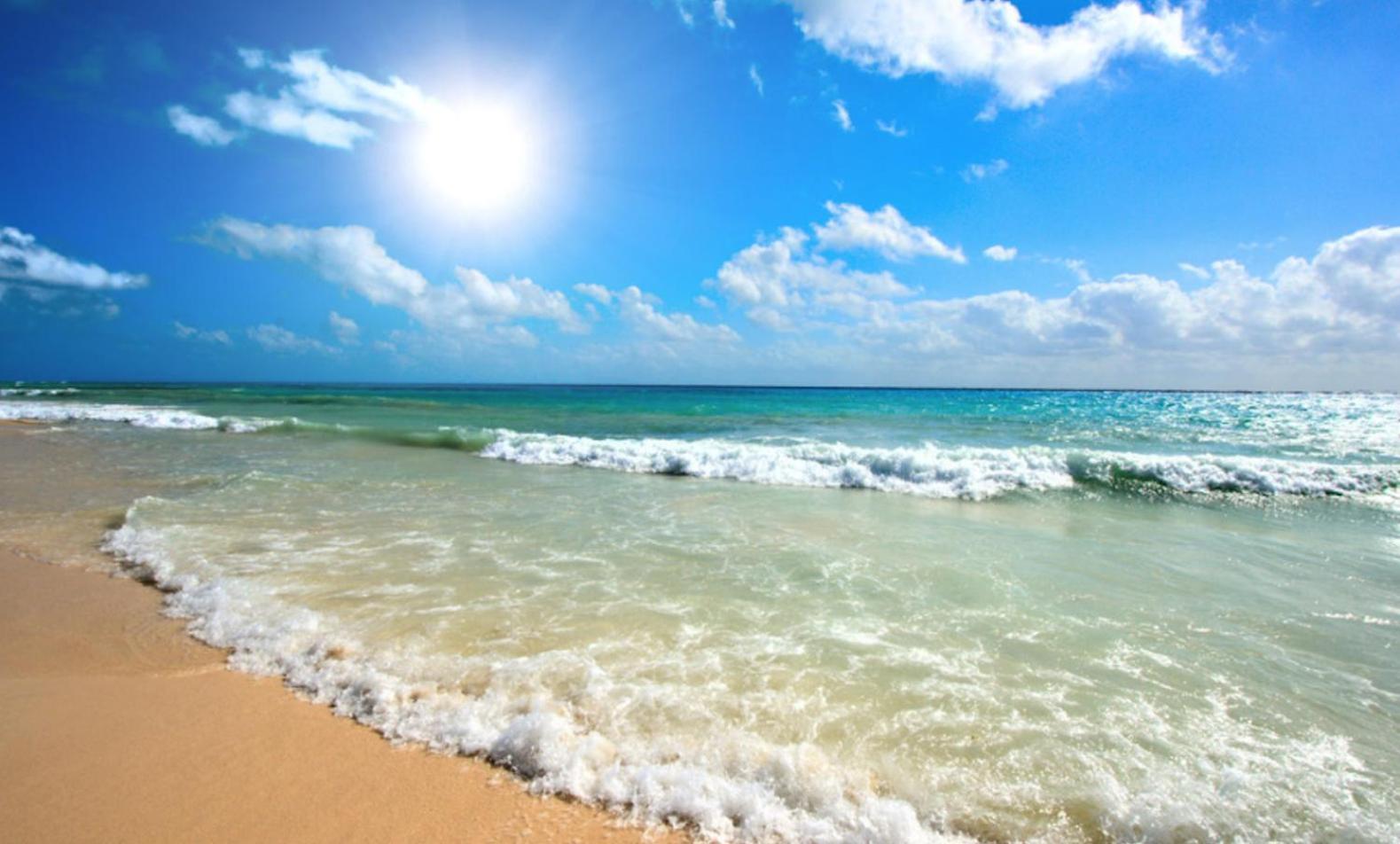 Chateau Del Mar C31A Studio Sunny Beach Dış mekan fotoğraf